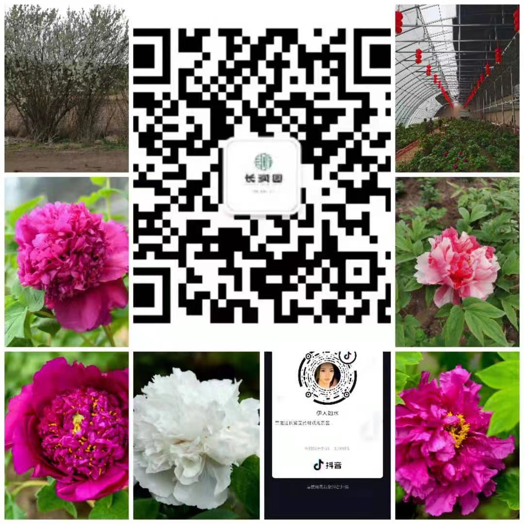 黑龙江长润园-百草园