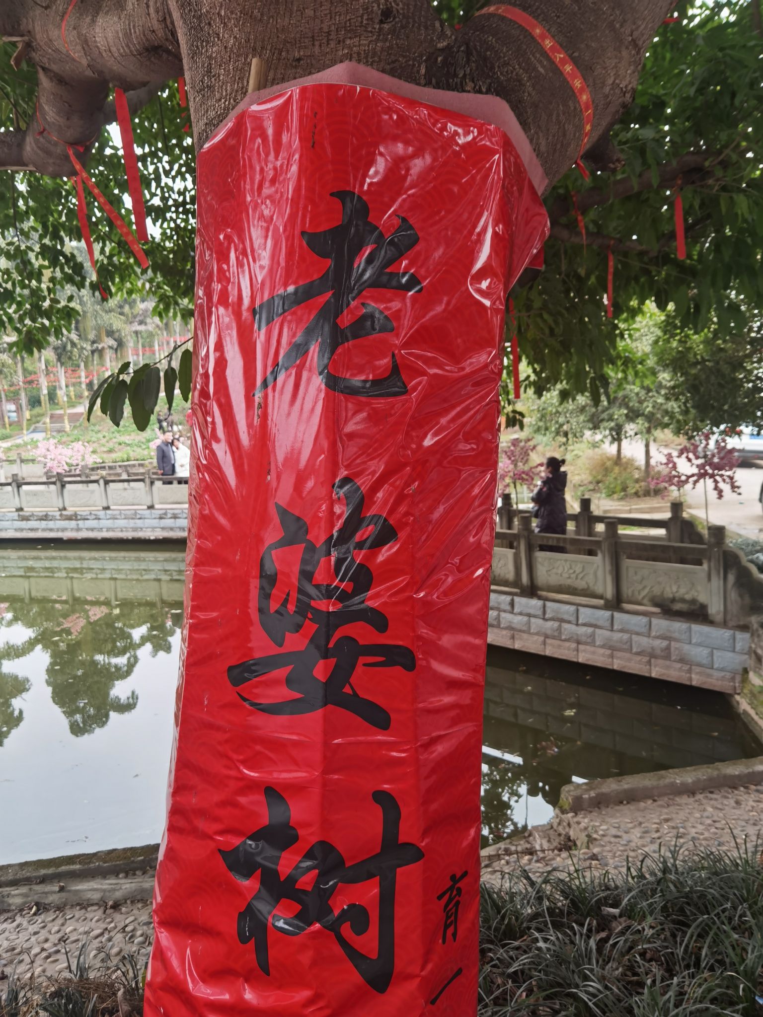 资中县杨柳滩旅游风景区旅行图片 2