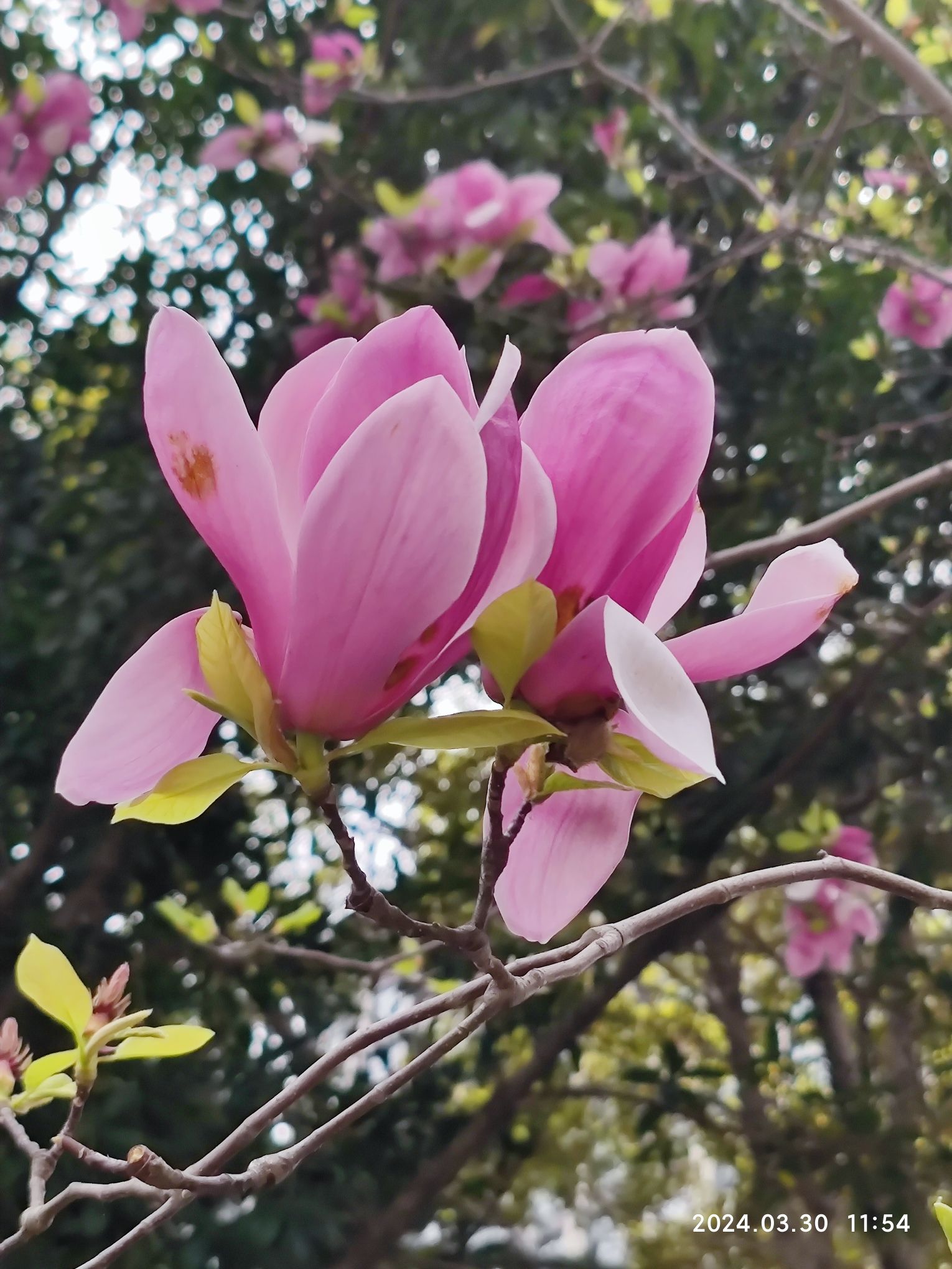 震川好人公园旅行图片 1