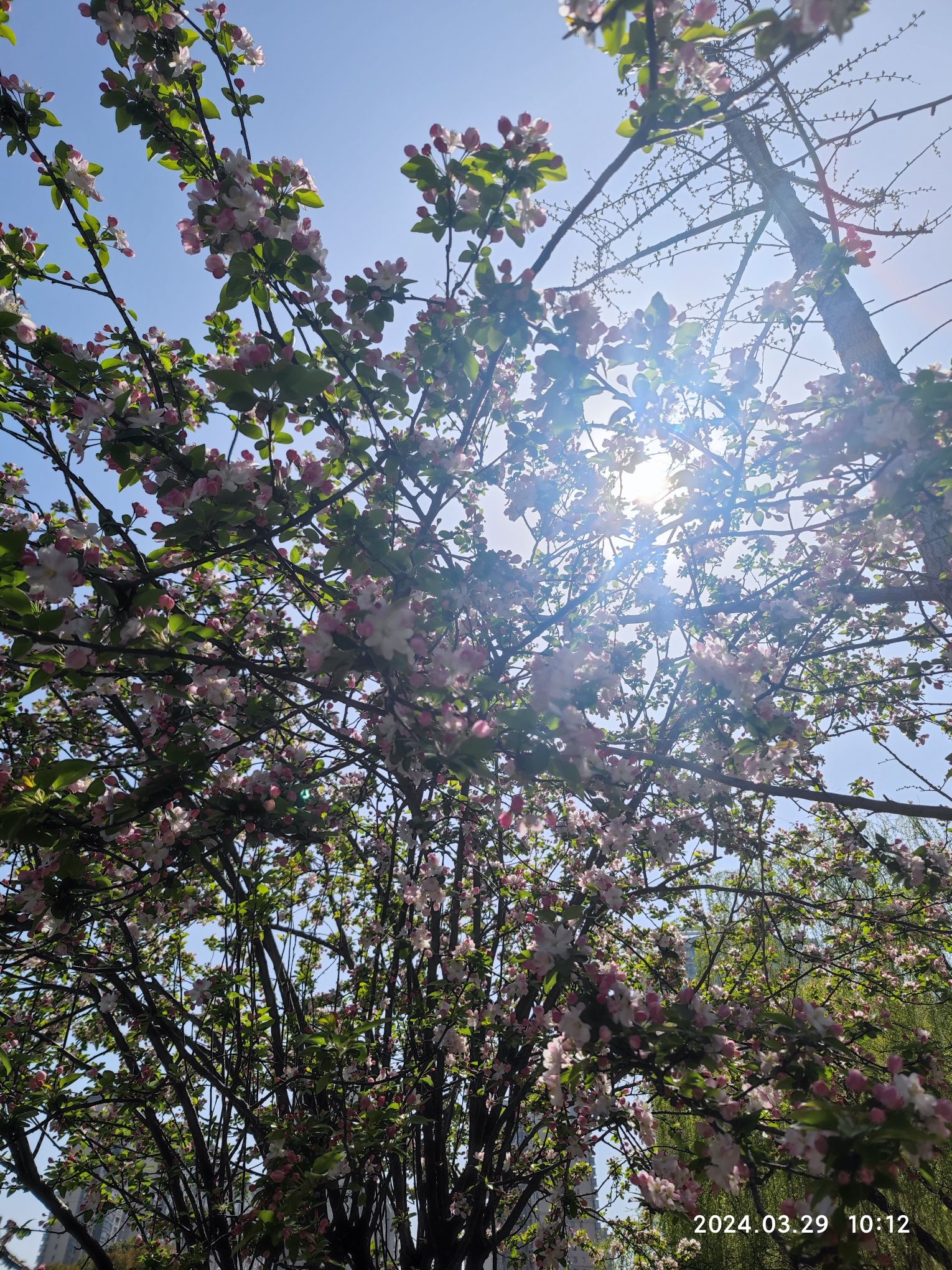 震川好人公园旅行图片 3