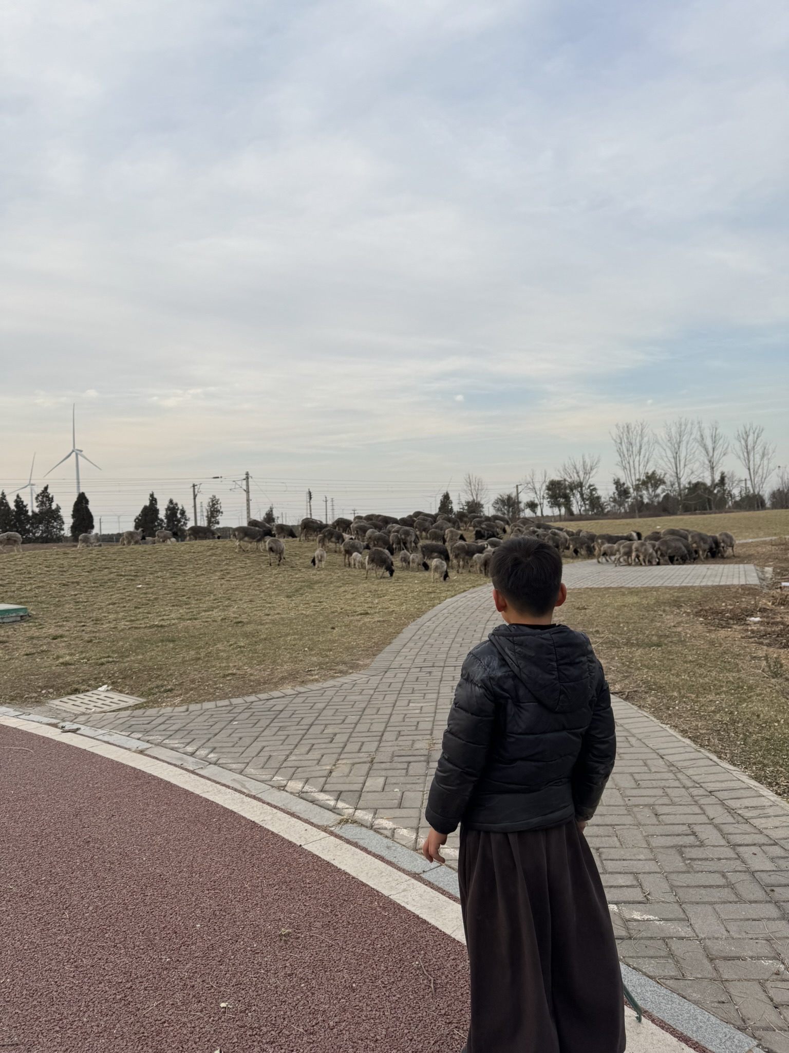 汽车主题公园旅行图片 1