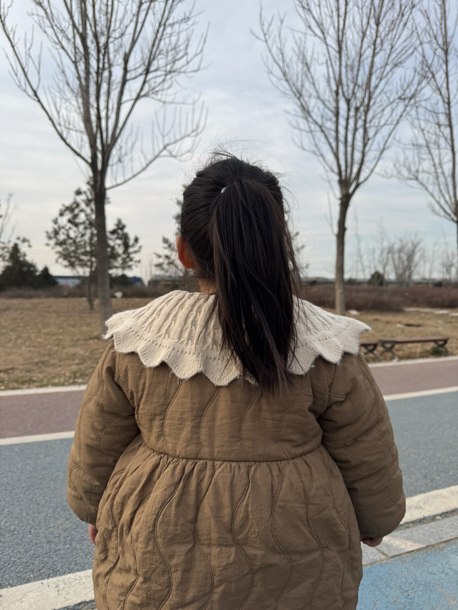 汽车主题公园旅行图片 2