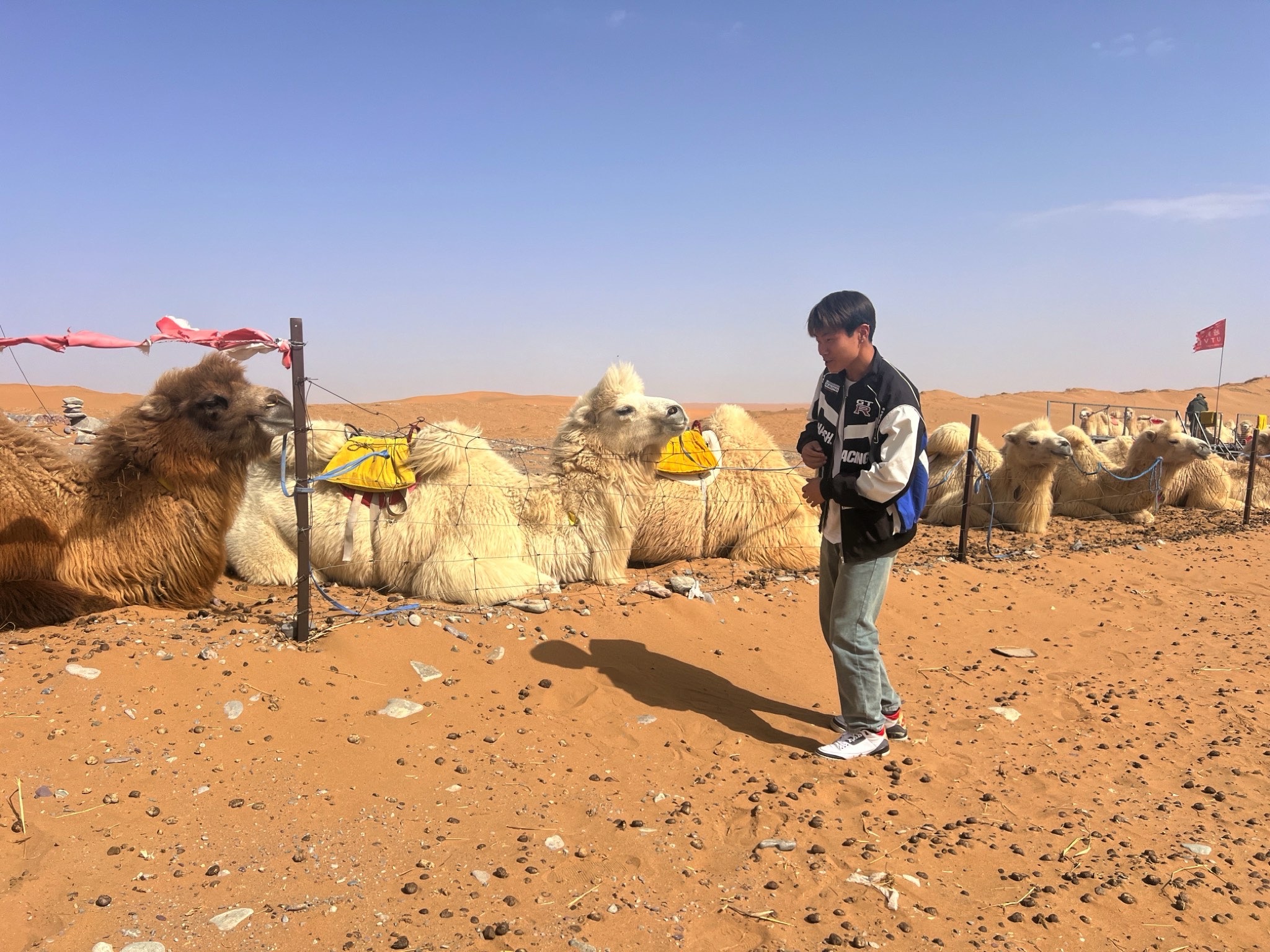 梦想沙漠公路牌楼旅行图片