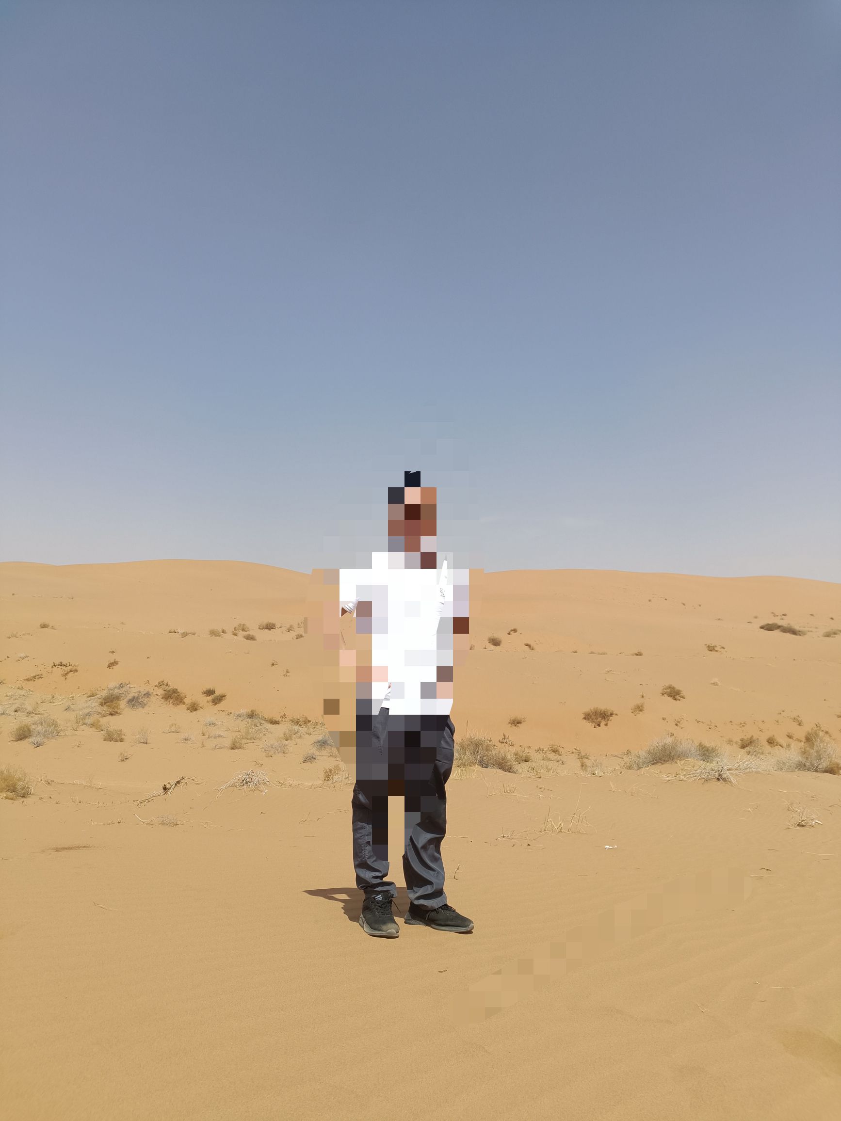 梦想沙漠公路牌楼旅行图片 2