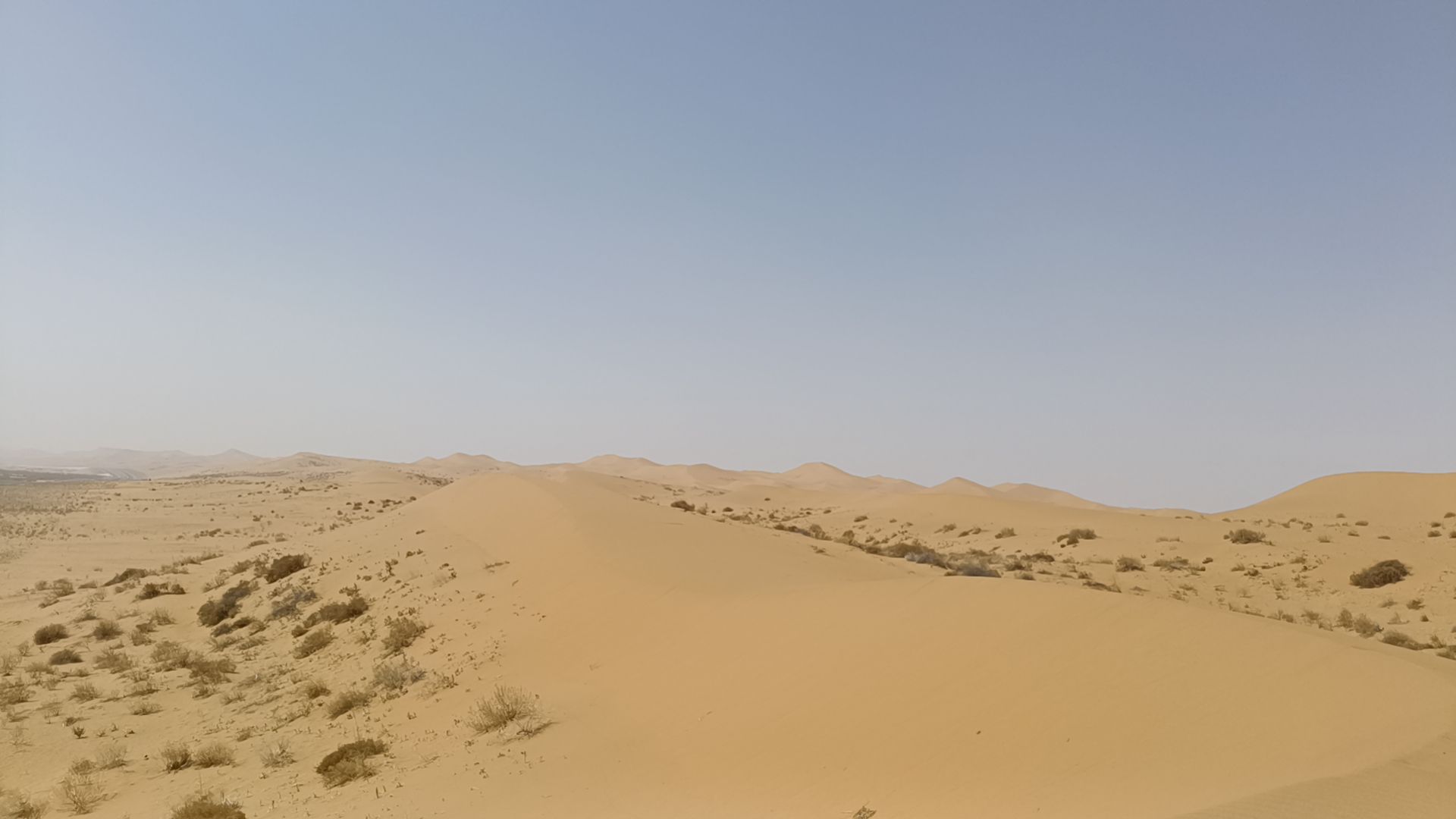 梦想沙漠公路牌楼旅行图片 1