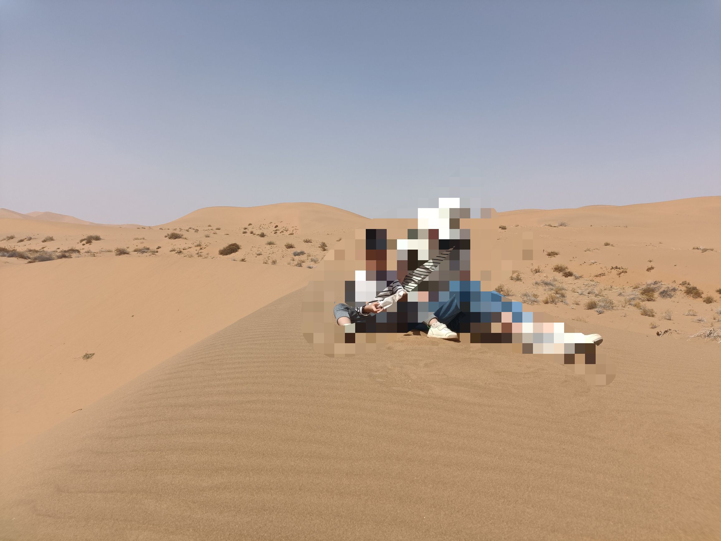 梦想沙漠公路牌楼旅行图片 3