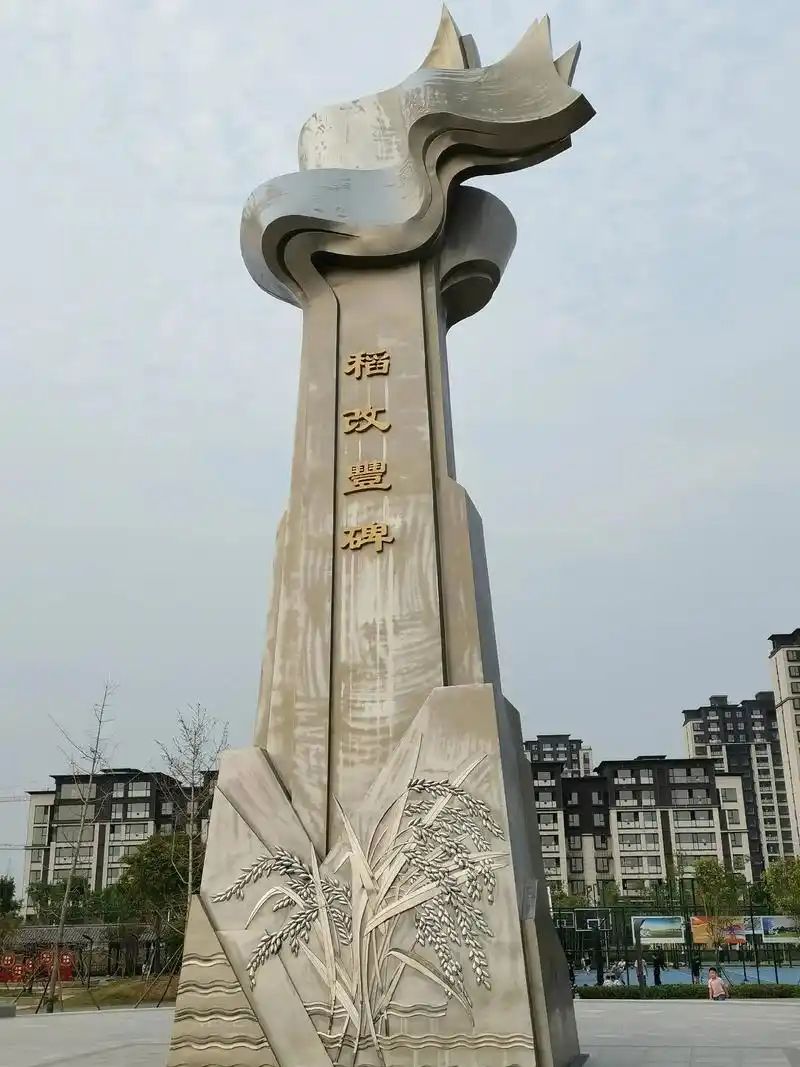 鱼台稻改公园旅行图片 1