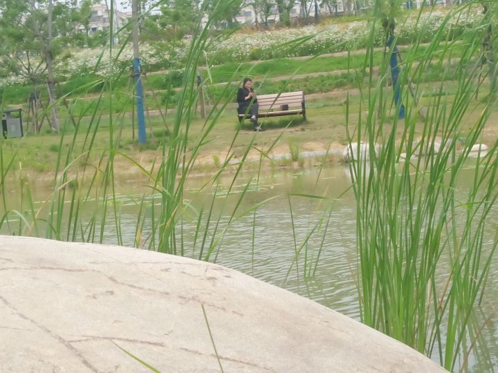 花溪公园旅行图片 1