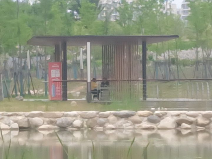 花溪公园旅行图片 2