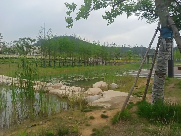 花溪公园旅行图片 3