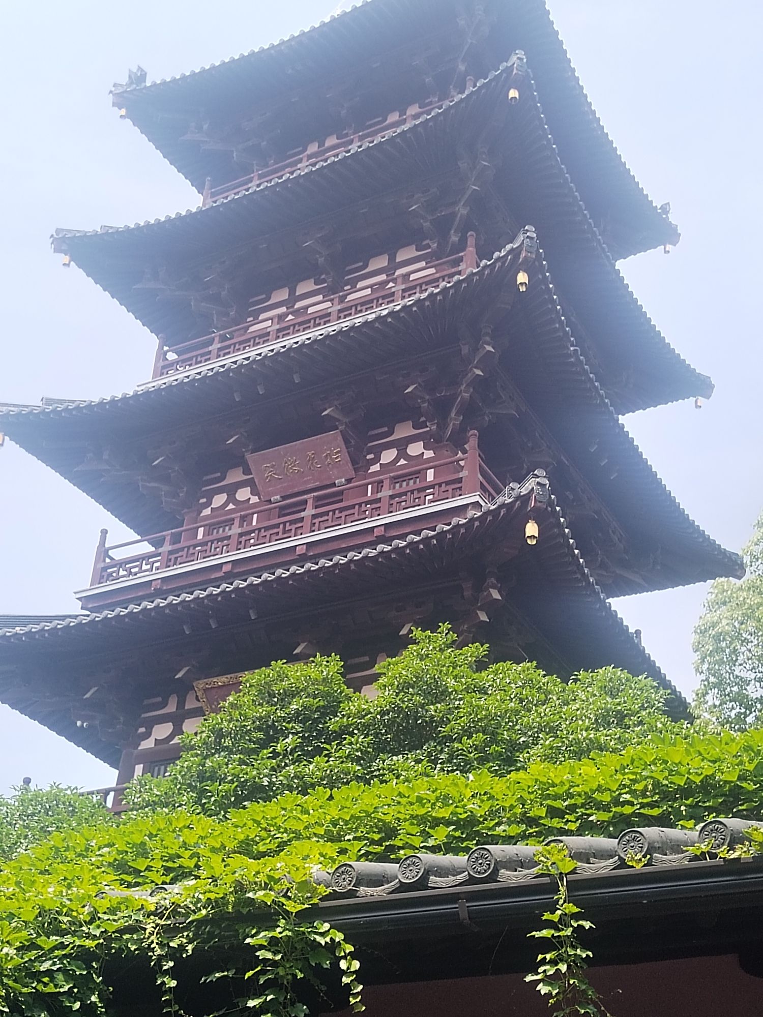 花溪公园旅行图片 1