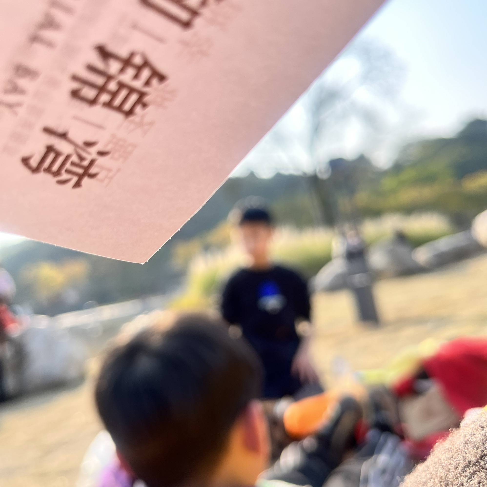 大自然湿地公园旅行图片 3