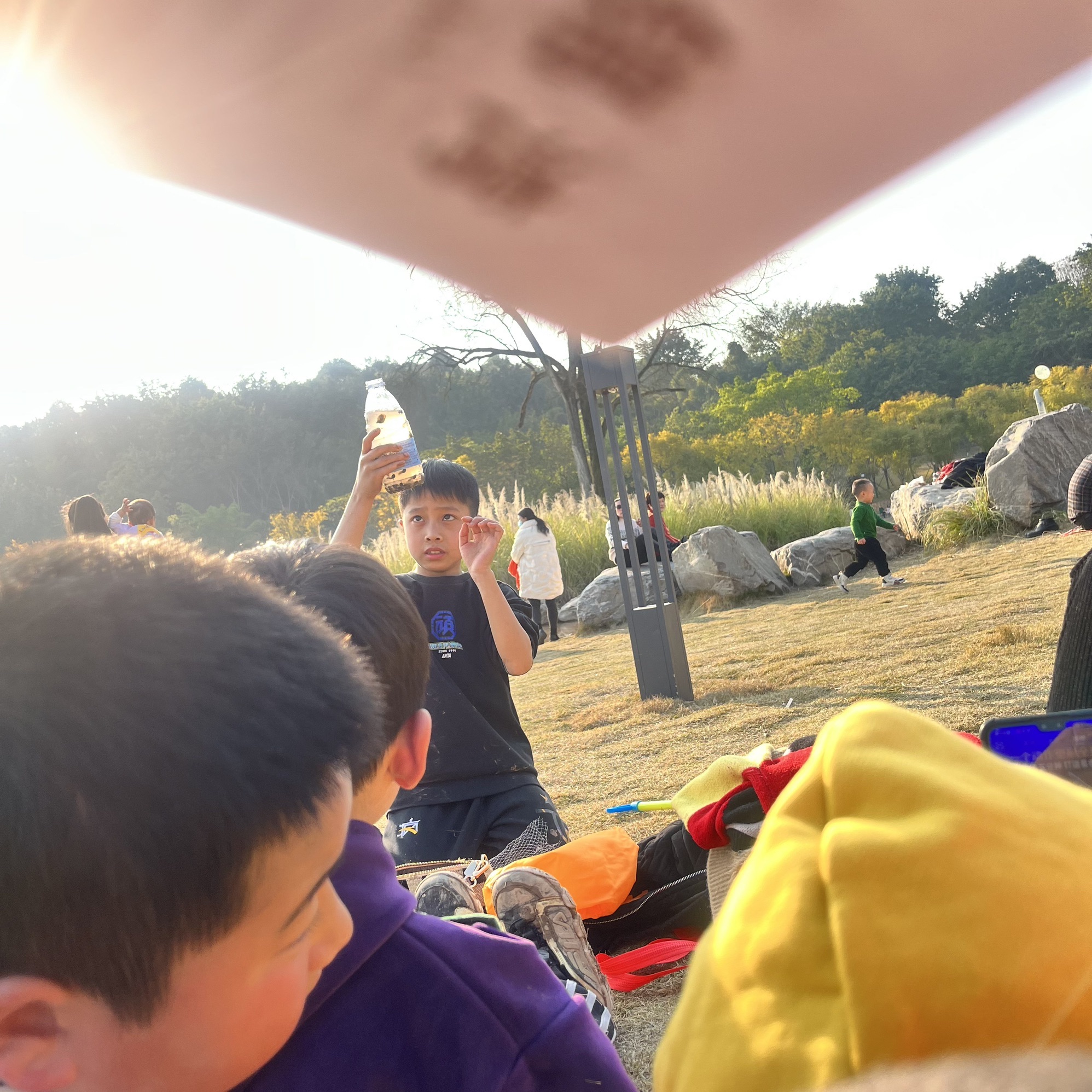 大自然湿地公园旅行图片 2