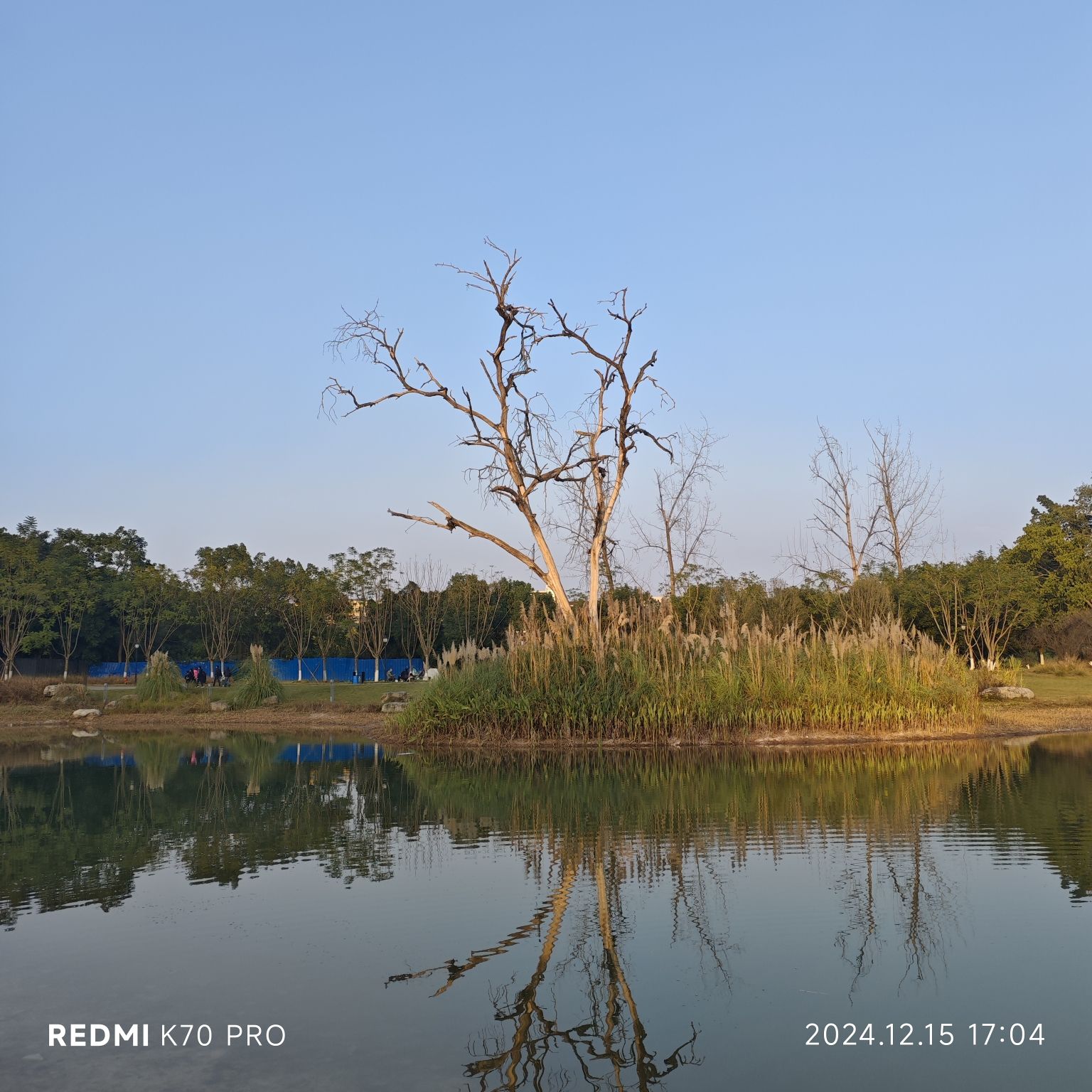 大自然湿地公园旅行图片 1