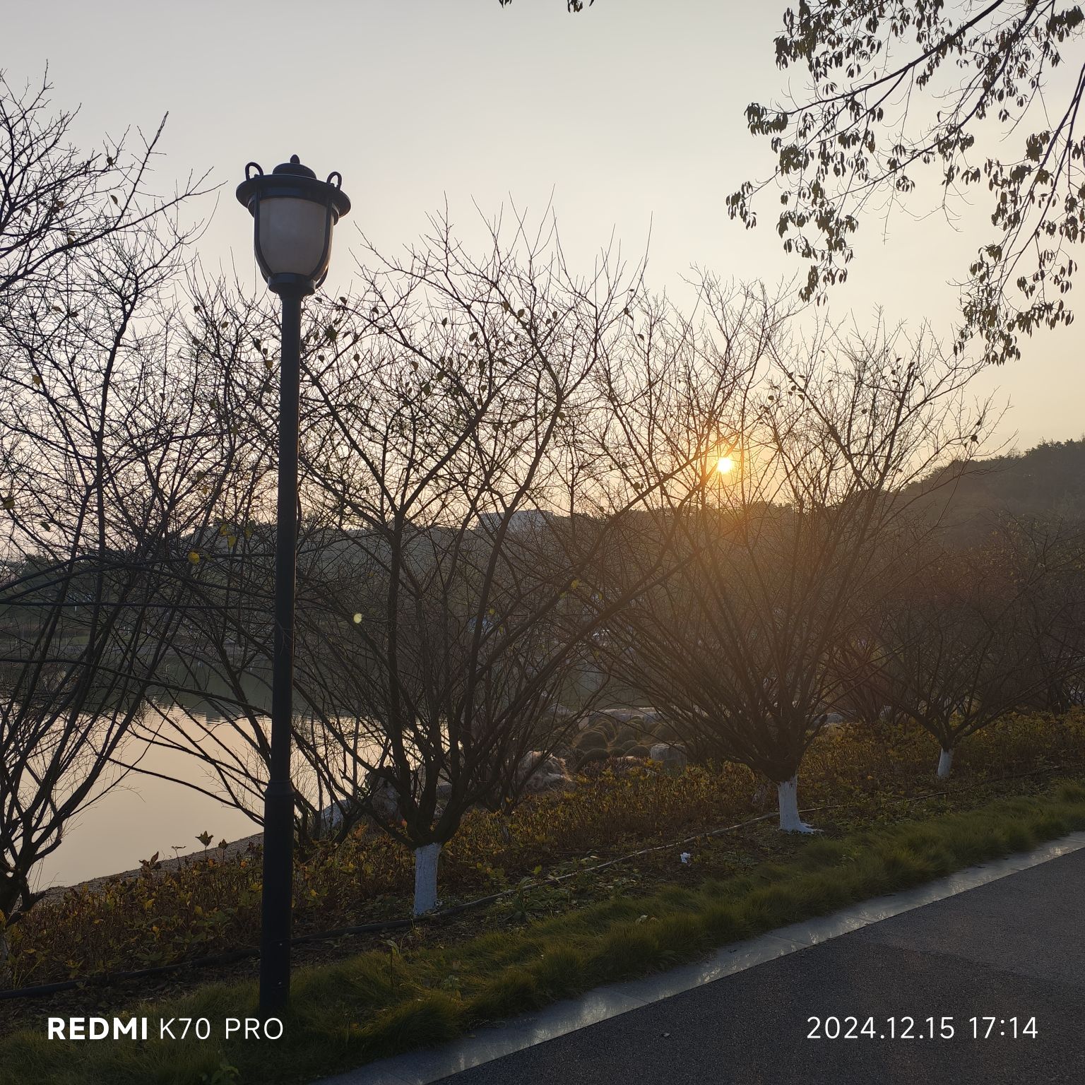 大自然湿地公园旅行图片 3