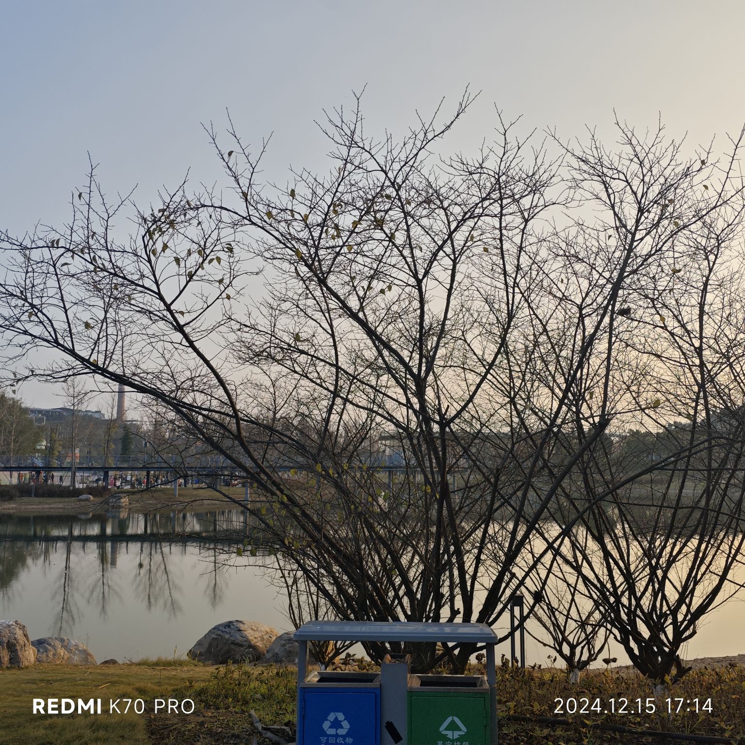 大自然湿地公园旅行图片 2