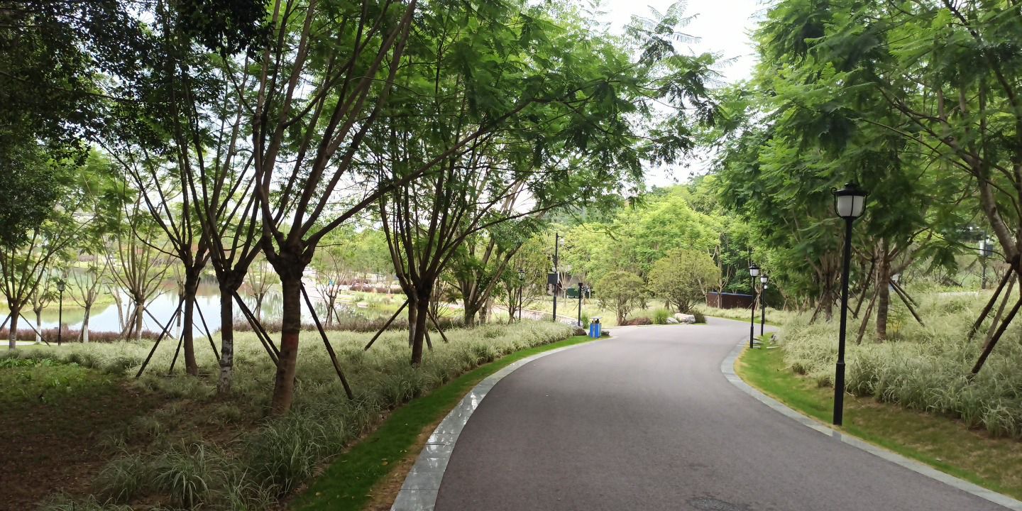 大自然湿地公园旅行图片 3