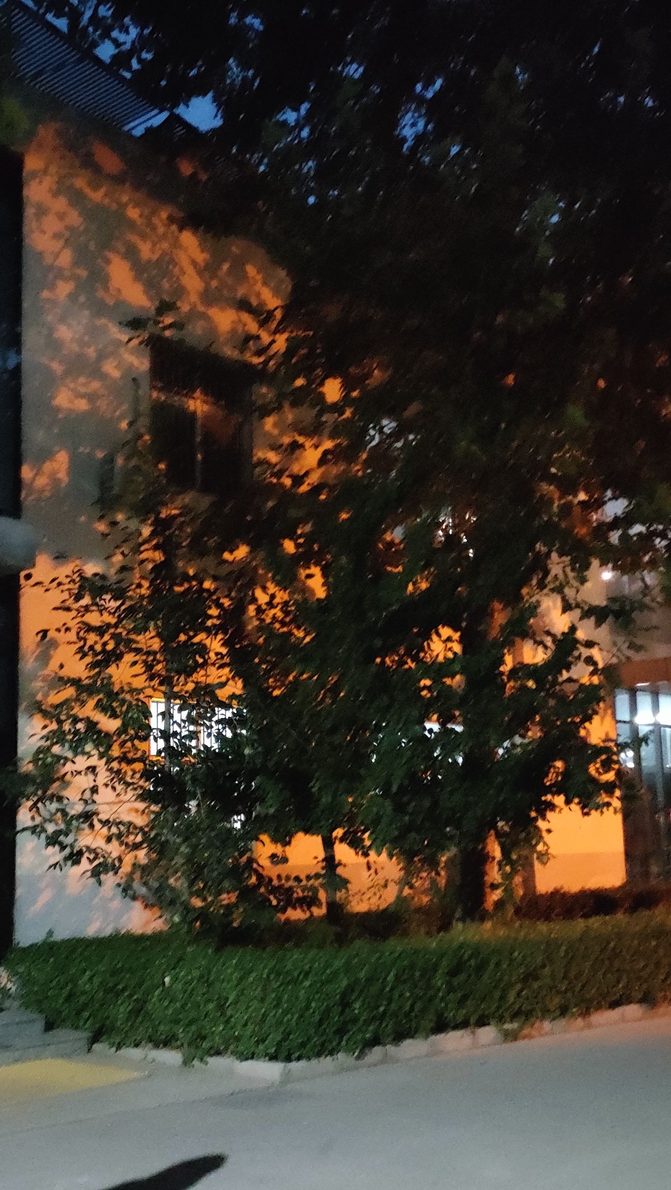 爱琴海滨河绿地公园旅行图片 1