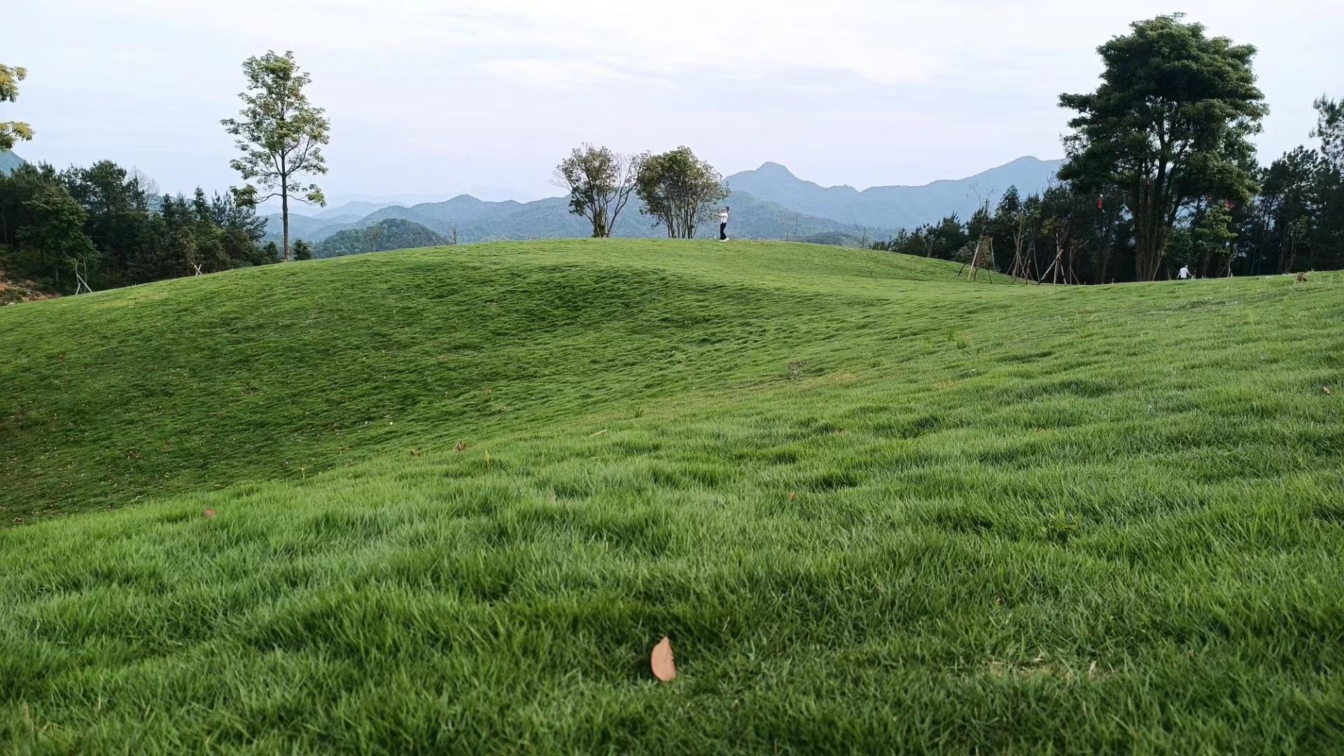 天池草场旅行图片 3