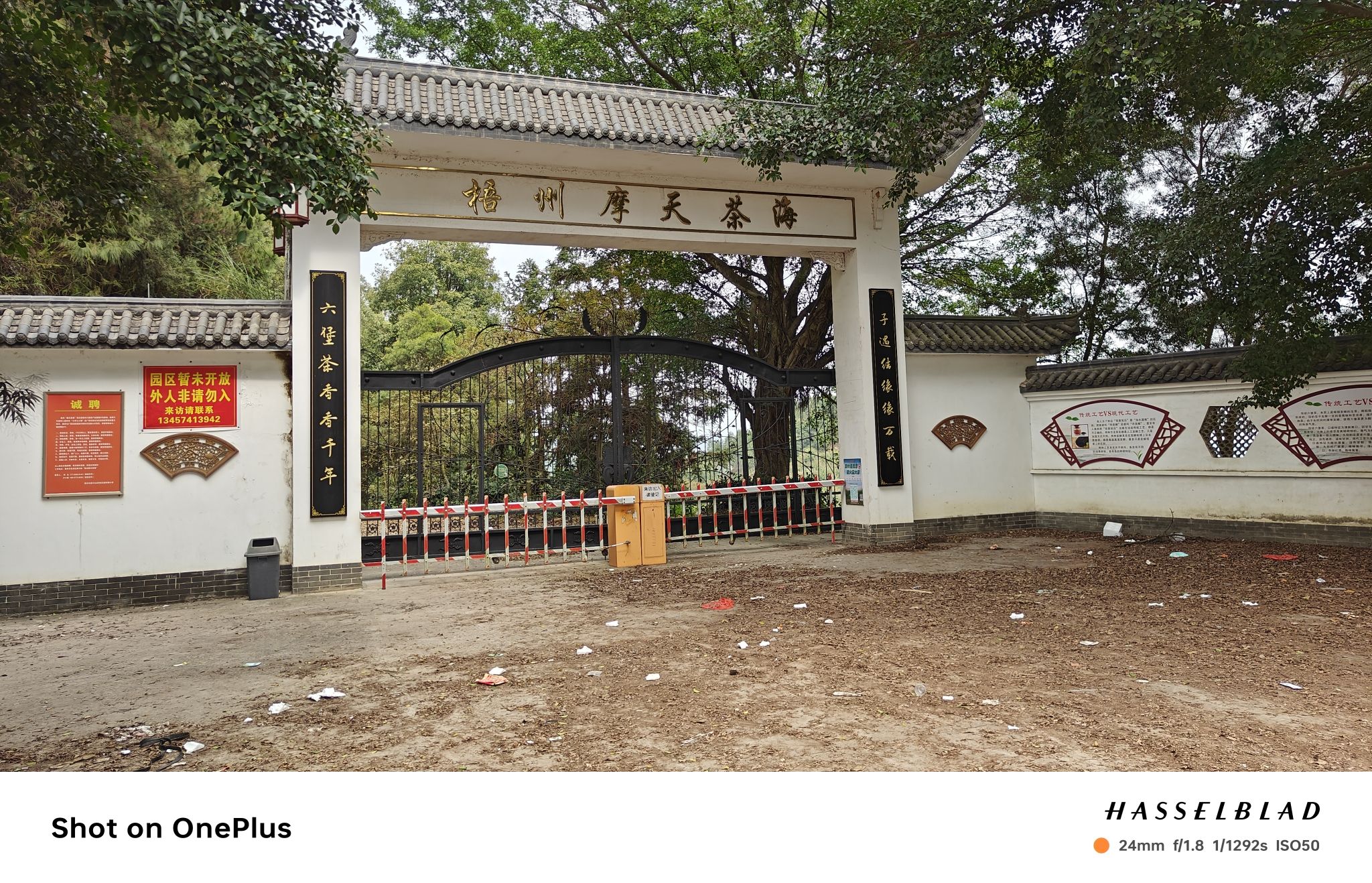 岭南龟谷旅行图片 1