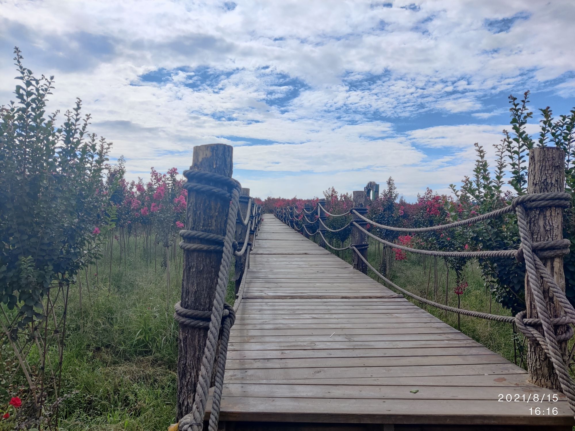 大良田园旅行图片 1