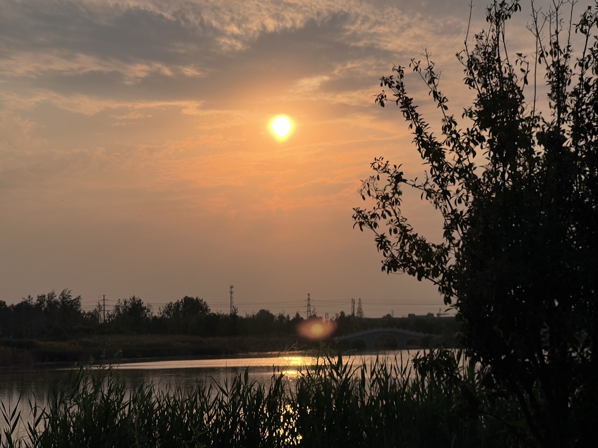 月堤湖生态公园