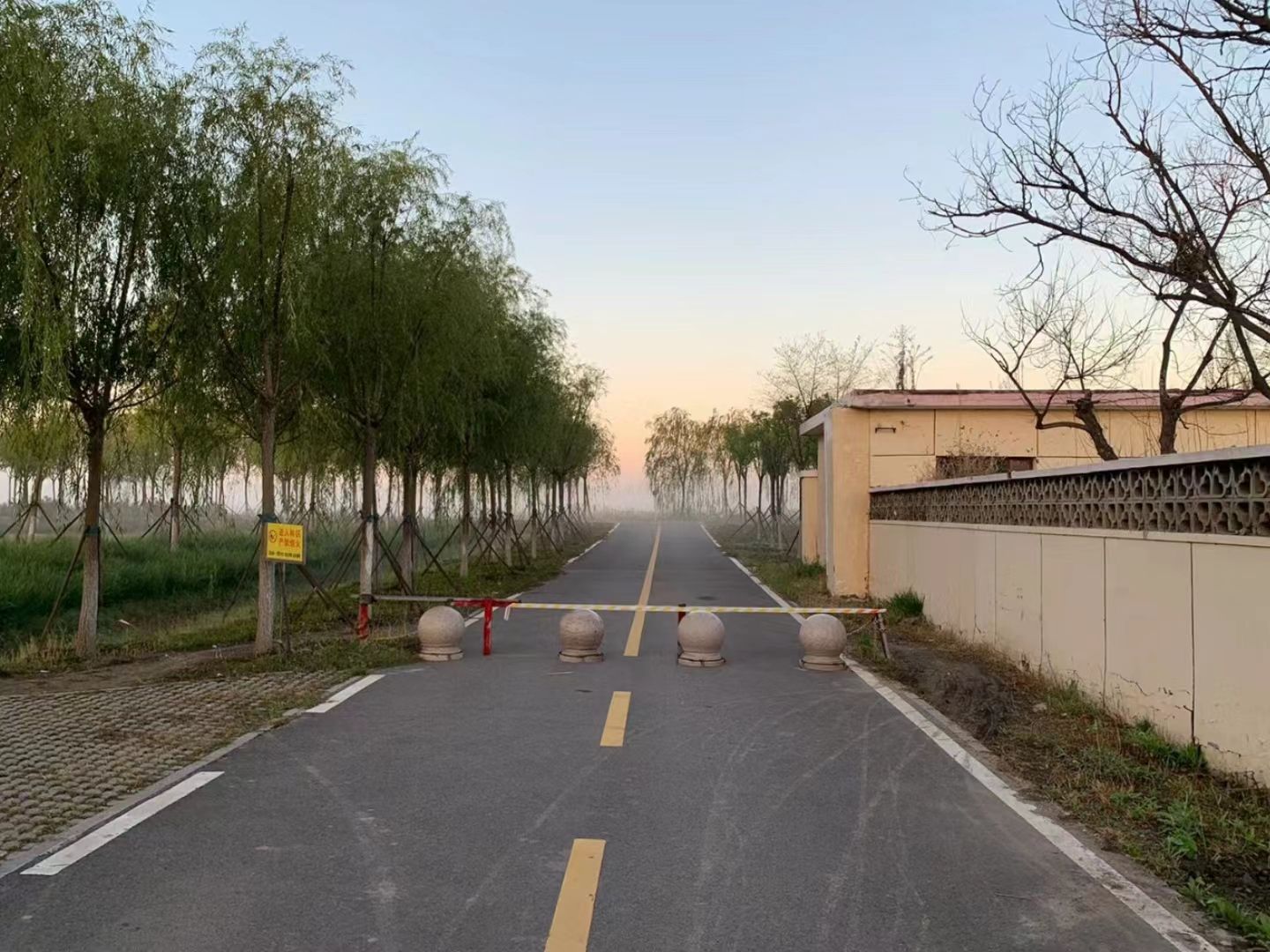 古海岸湿地绿廊旅行图片 1