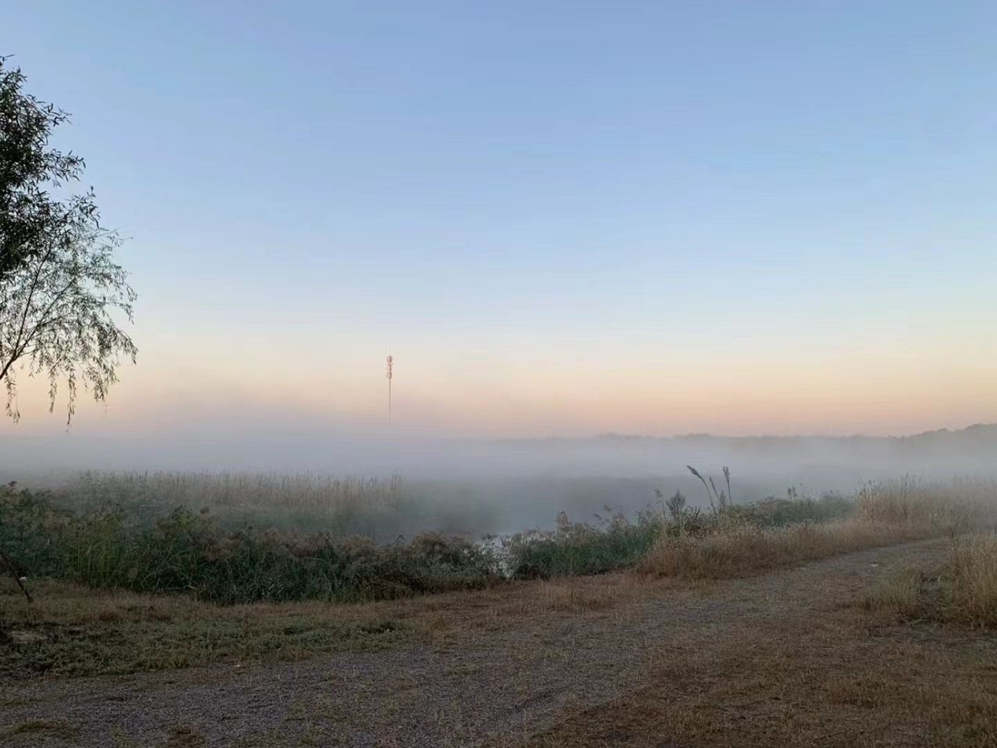古海岸湿地绿廊旅行图片 2