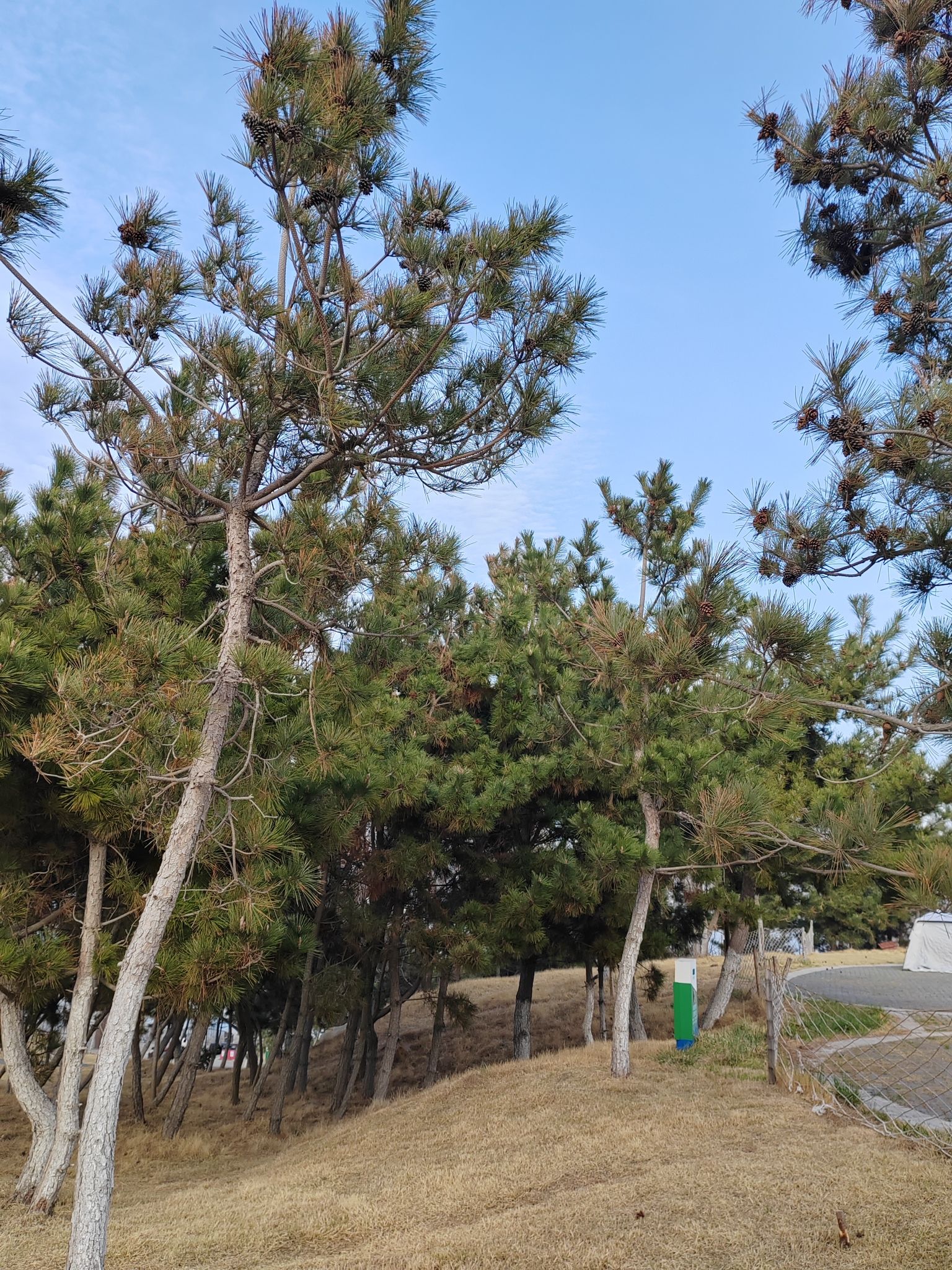 喂海公园旅行图片 3