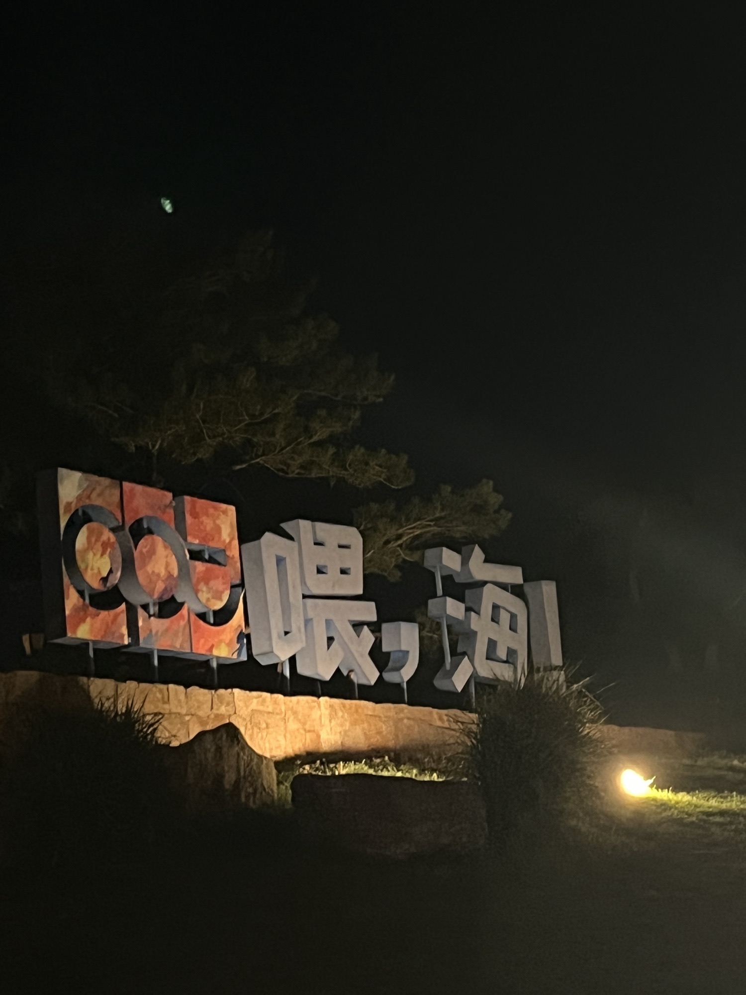喂海公园旅行图片 3