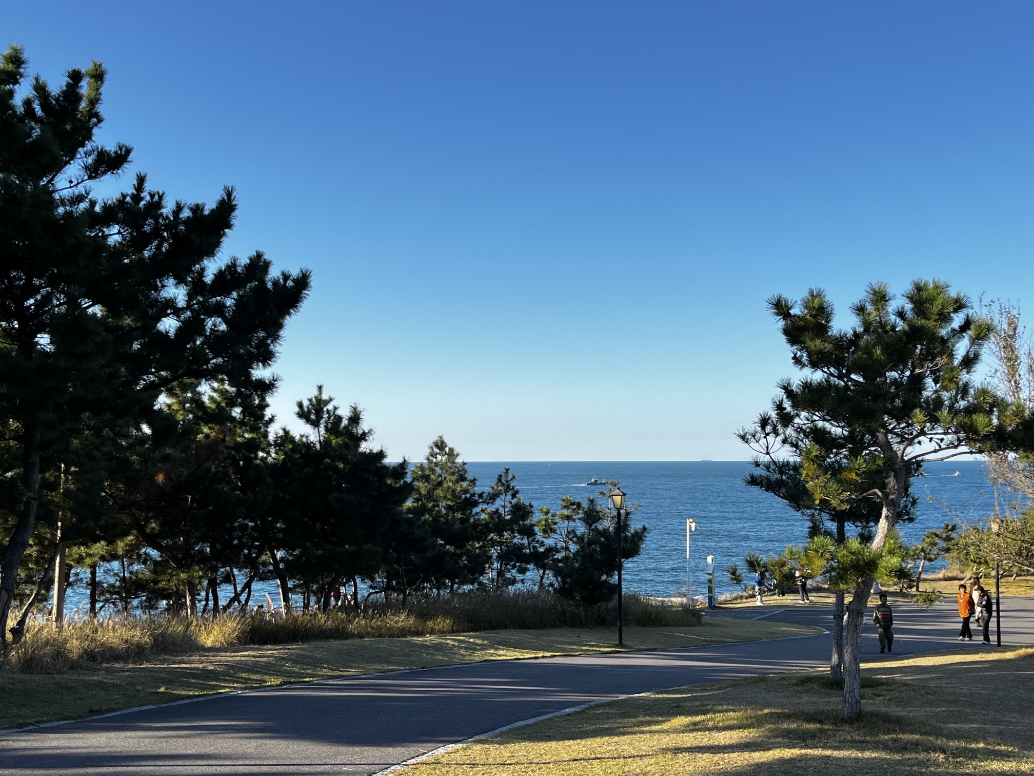 喂海公园旅行图片 3