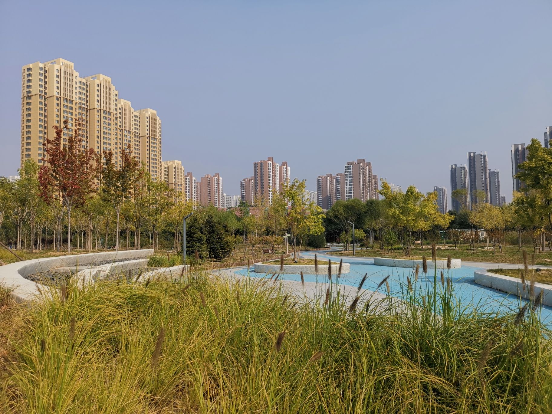 龙域社区公园旅行图片 2