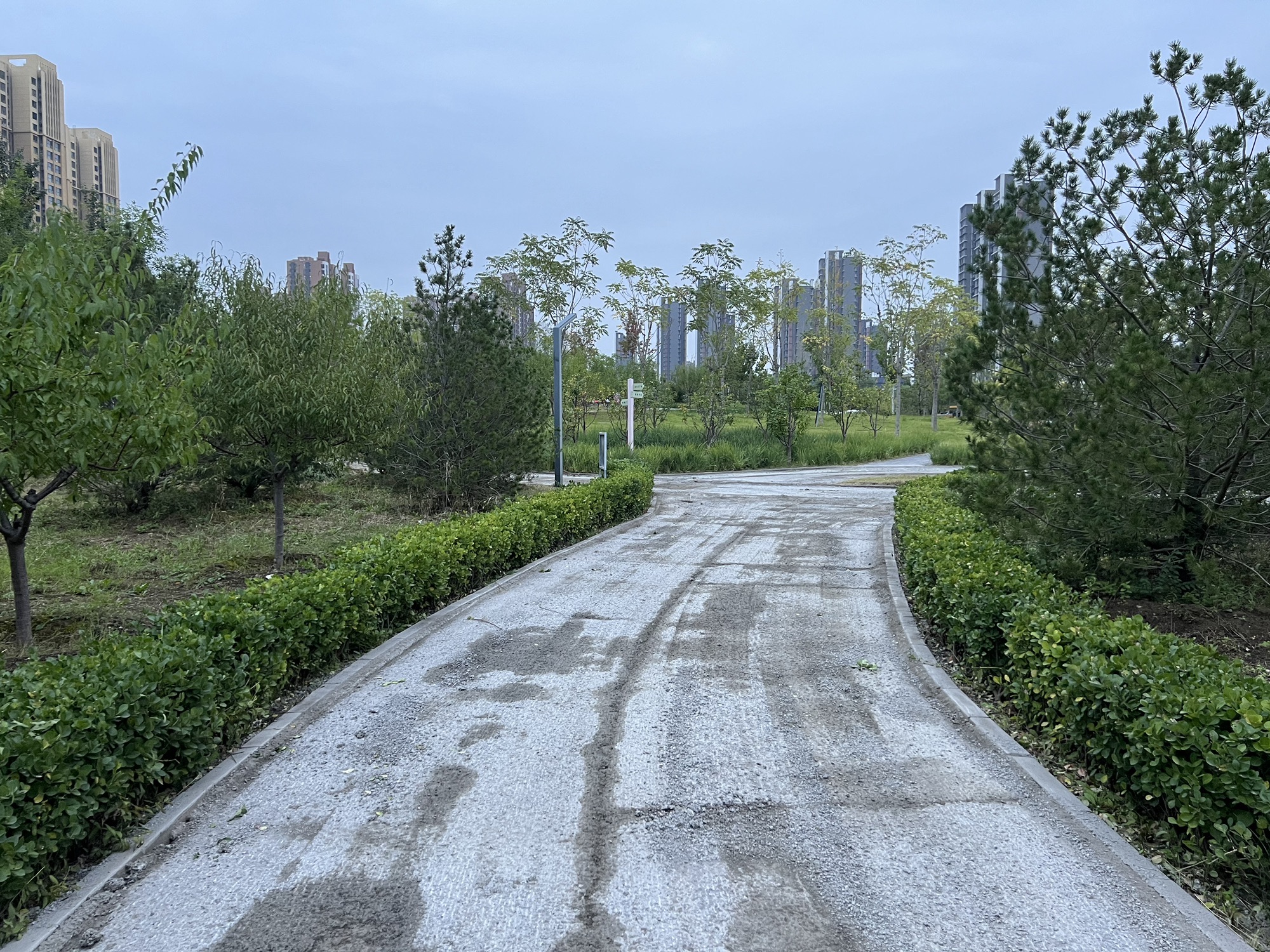 龙域社区公园旅行图片 2