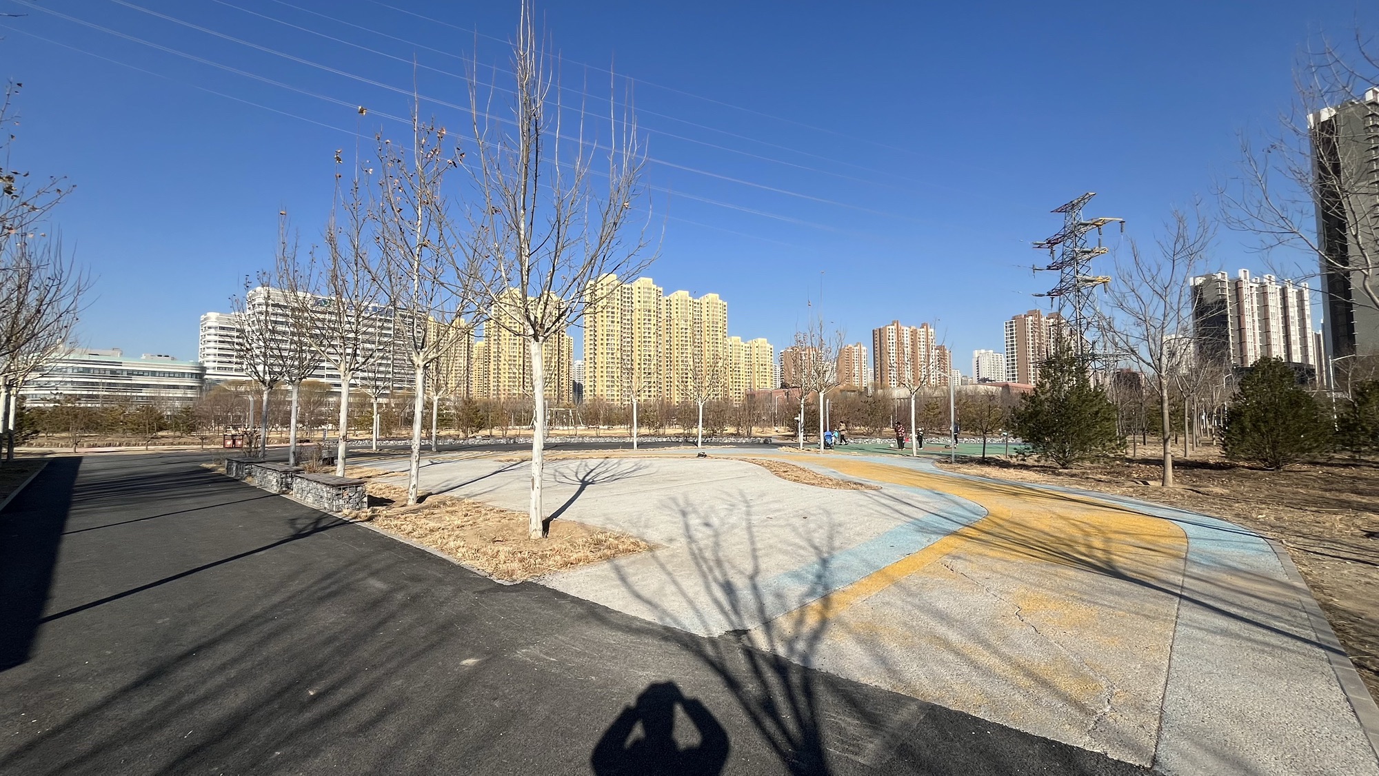 龙域社区公园旅行图片 1