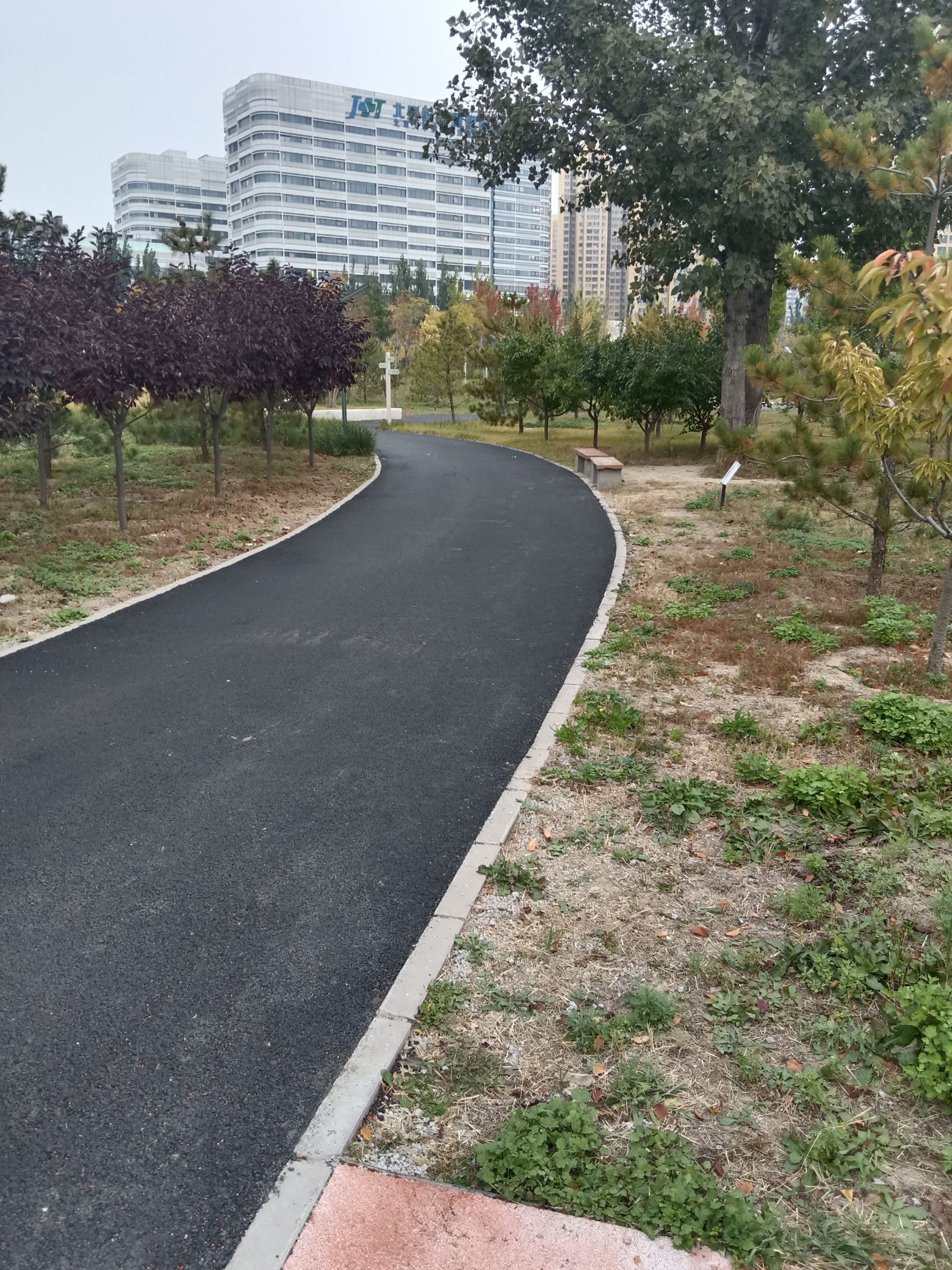 龙域社区公园旅行图片 2