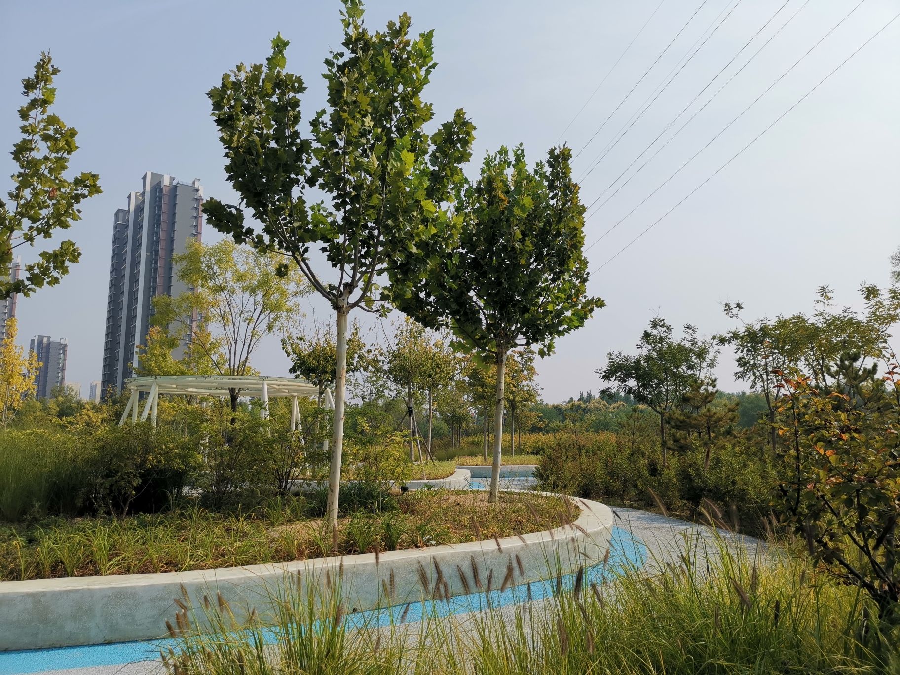龙域社区公园旅行图片 3