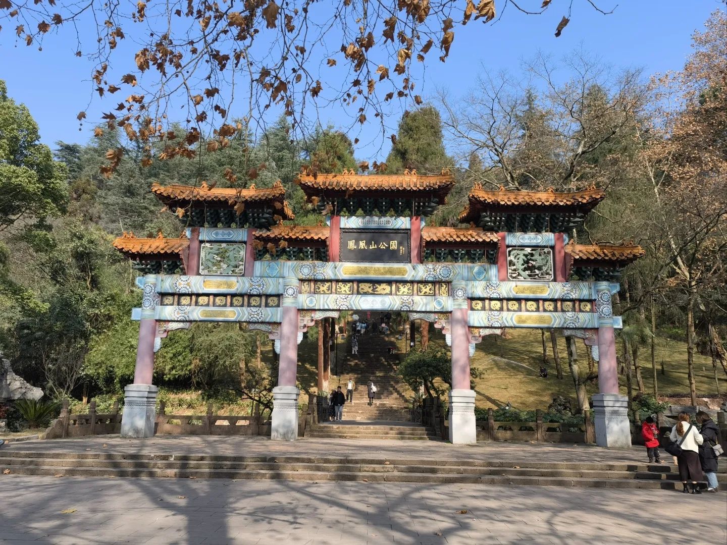 凤凰山森林公园旅行图片 1