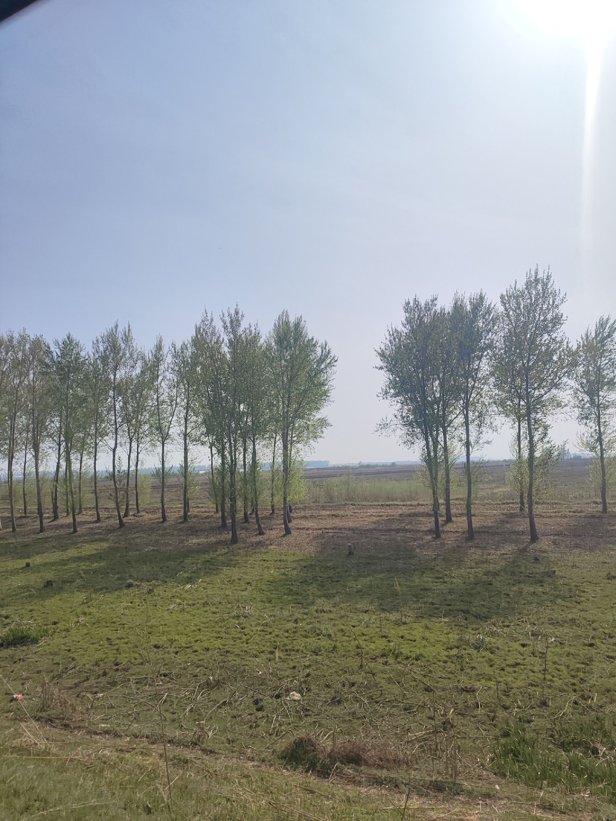 老山头遗址旅行图片 2