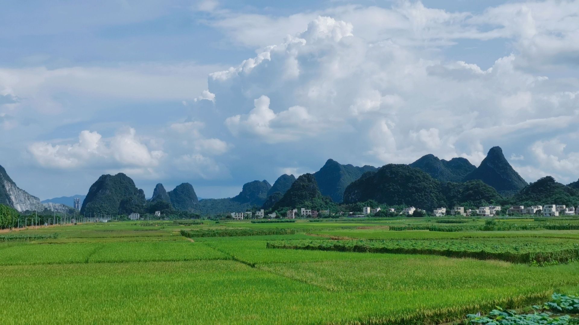 马兰风光观景长廊旅行图片 2