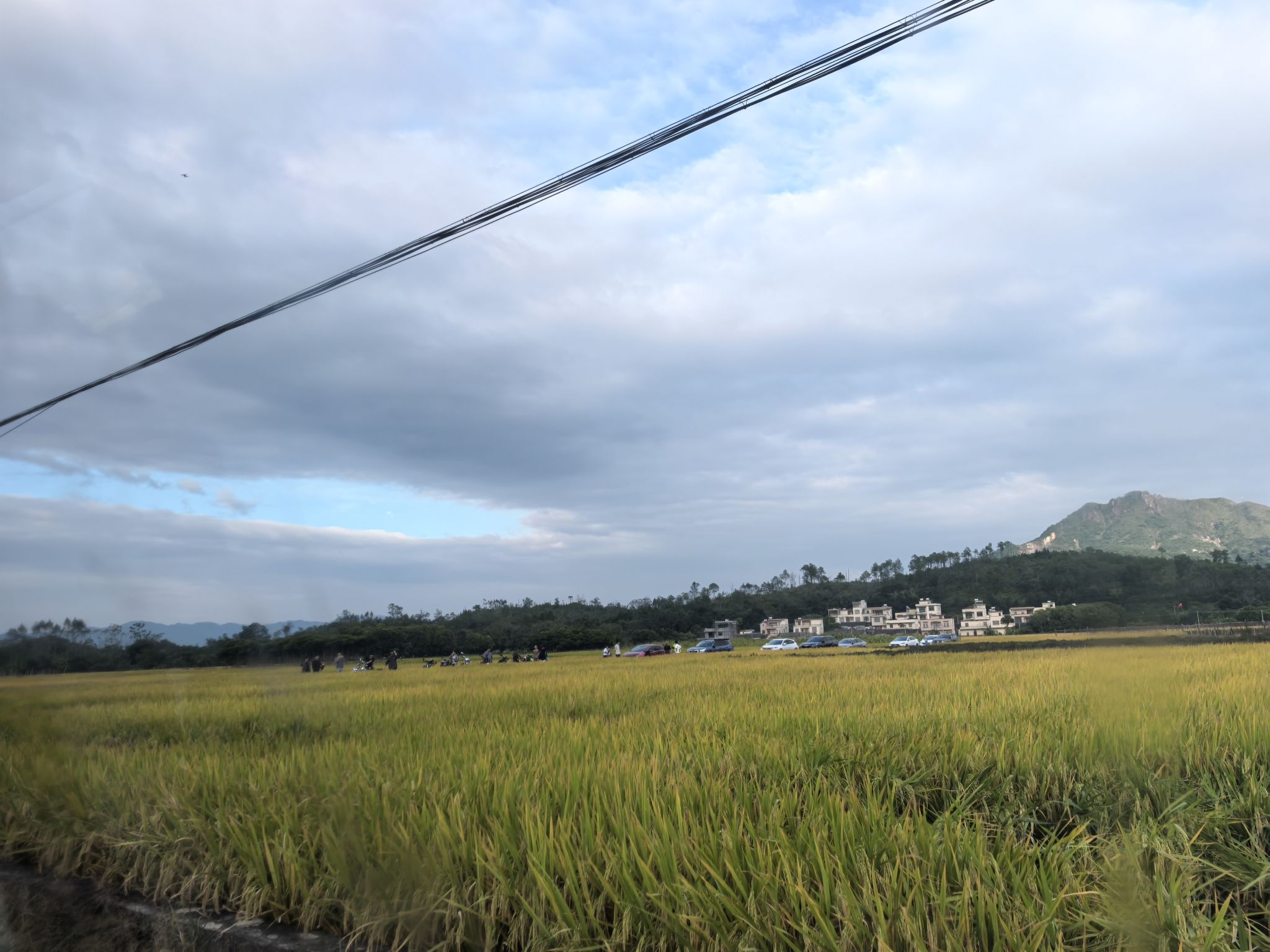 马兰风光观景长廊旅行图片 1