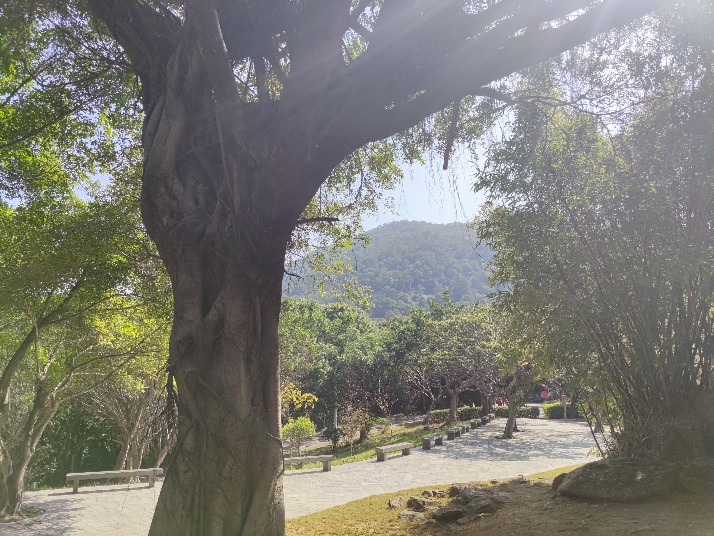 白云山风景区旅行图片 2