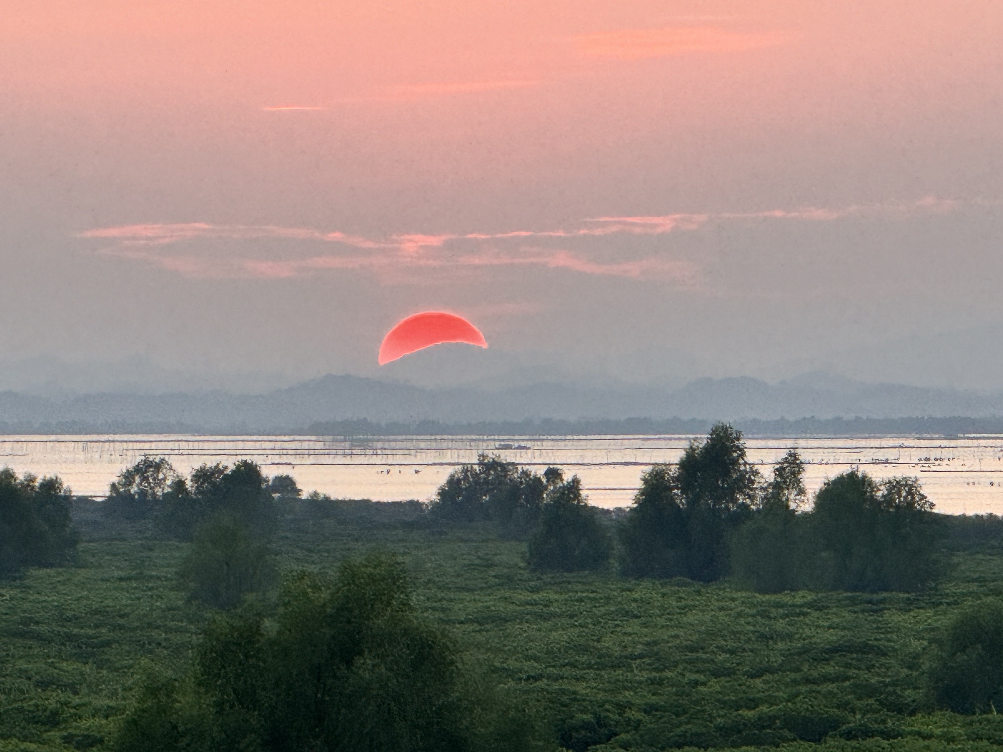 海蝦楼(红树林观景台)旅行图片 2
