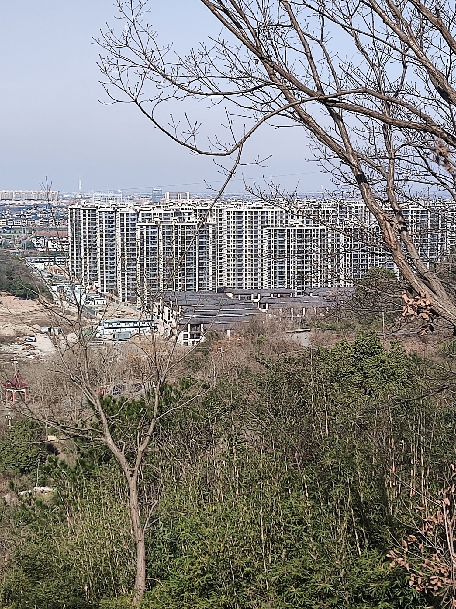 驼峰山城市生态公园旅行图片 1