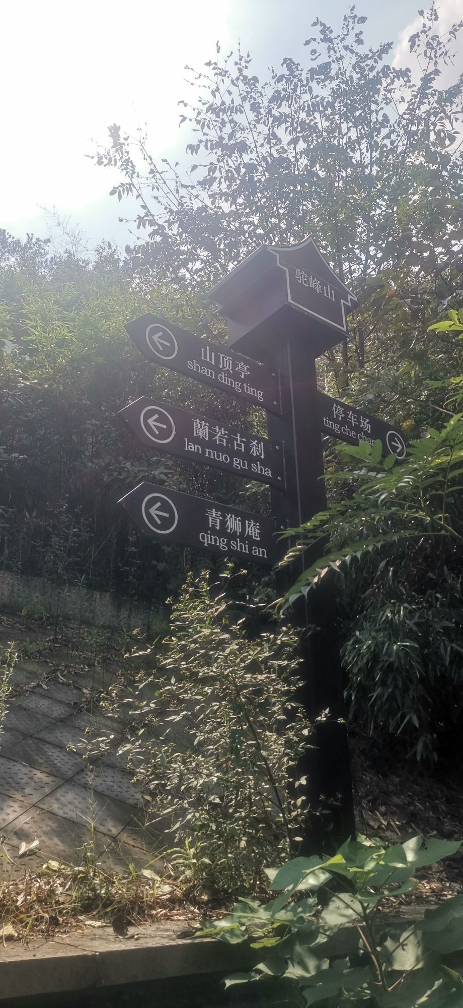 驼峰山城市生态公园旅行图片 2