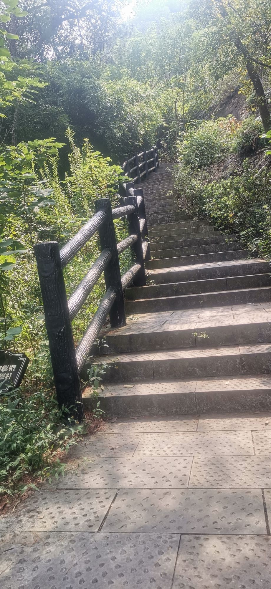 驼峰山城市生态公园旅行图片 1