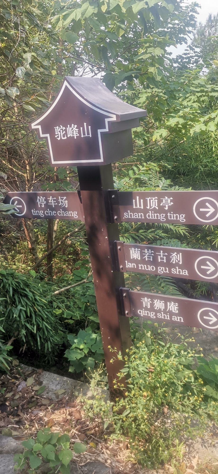 驼峰山城市生态公园旅行图片 3