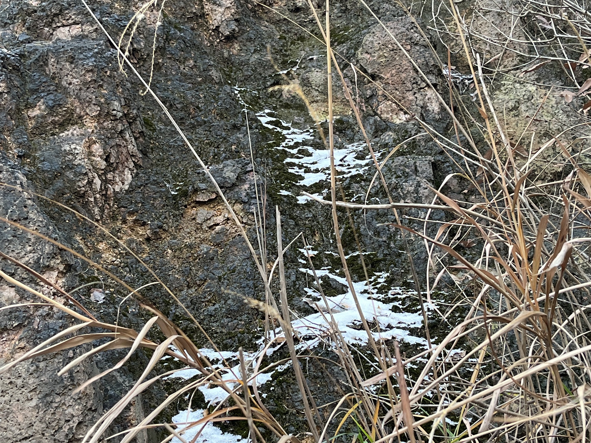 驼峰山城市生态公园旅行图片 3