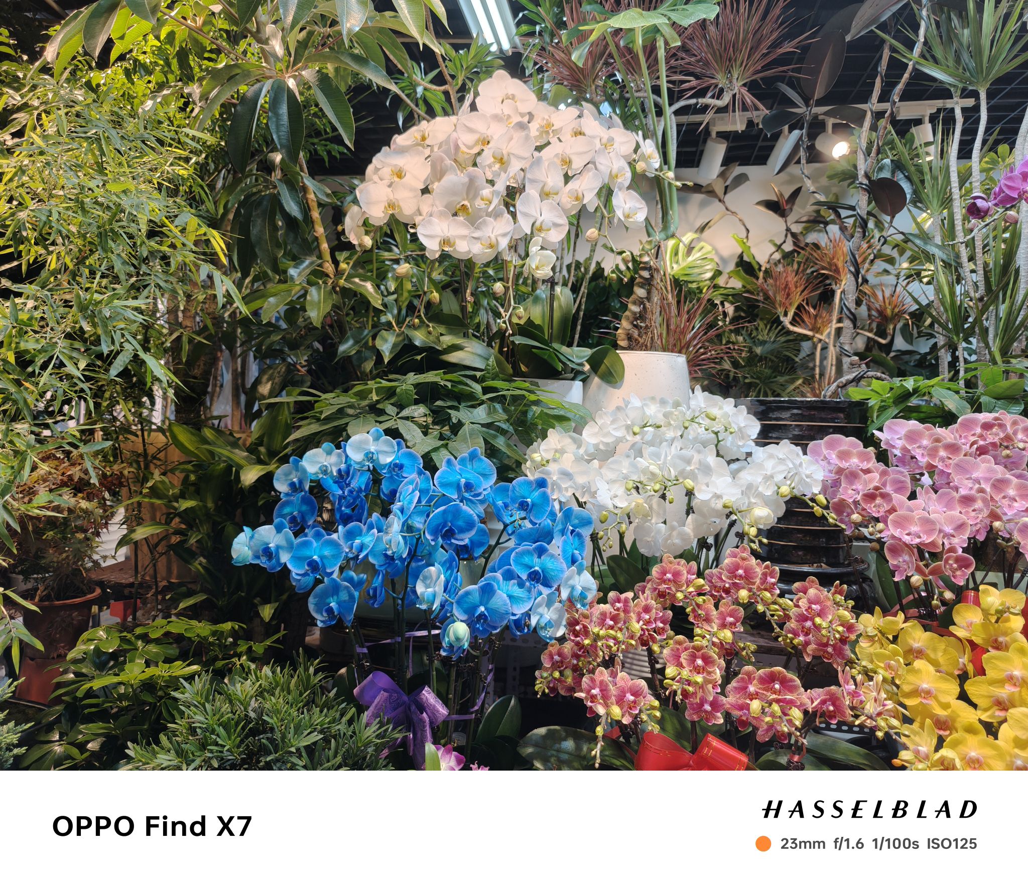 北京十里雅园国际花卉市场