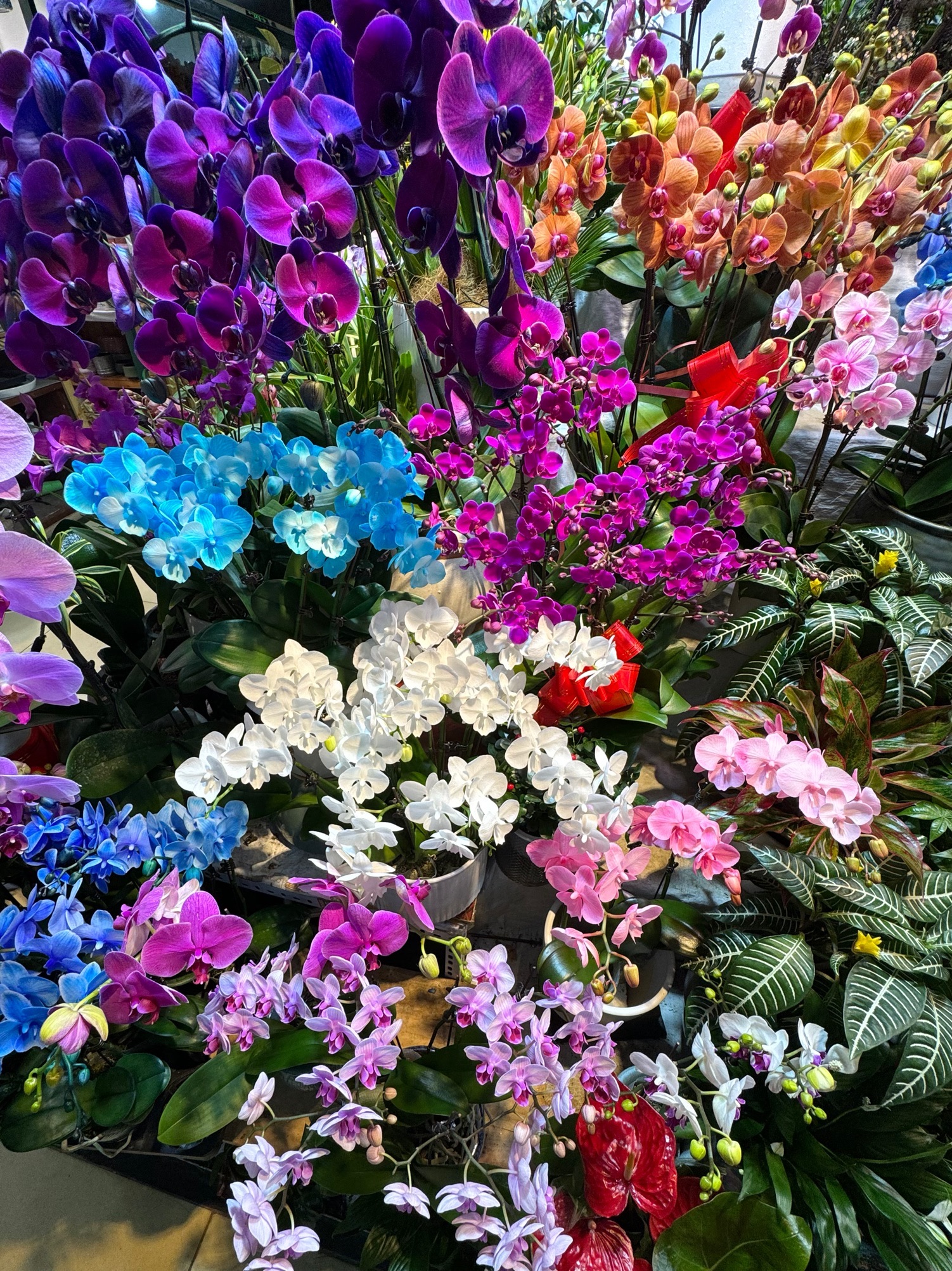 北京十里雅园国际花卉市场