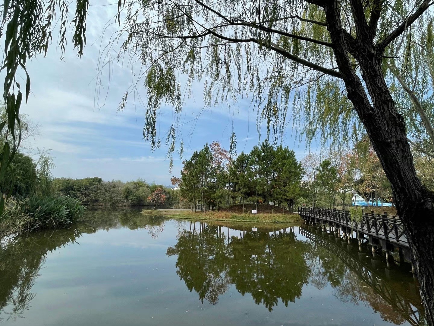 浦阳江国家湿地公园旅行图片 1